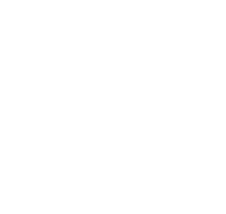 3rd Newbiggin Scouts Logo